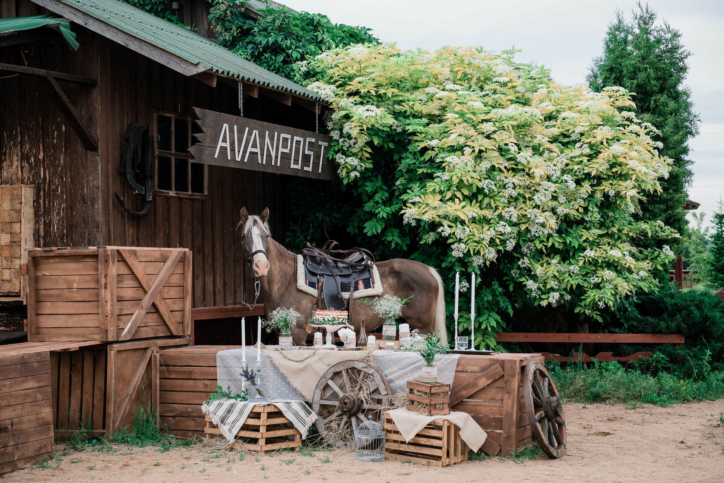 Свадьба в стиле кантри на ранчо или конной базе
