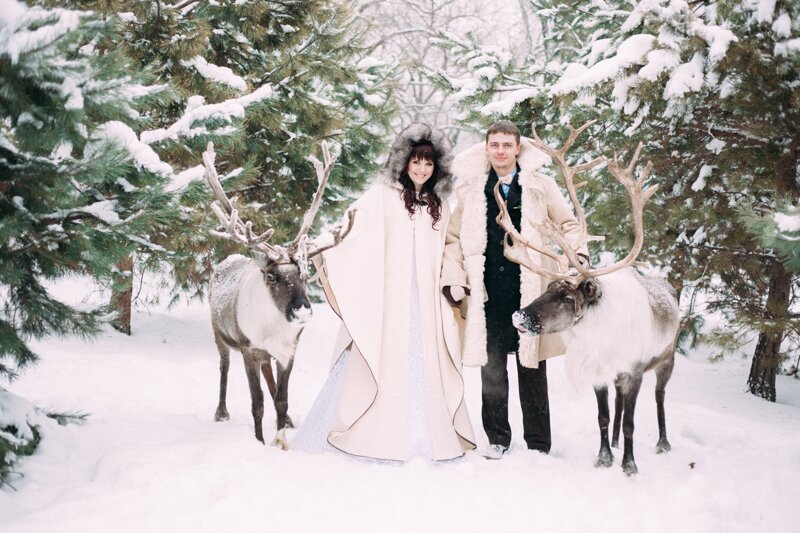 Зимняя свадьба в заснеженном лесу с оленями